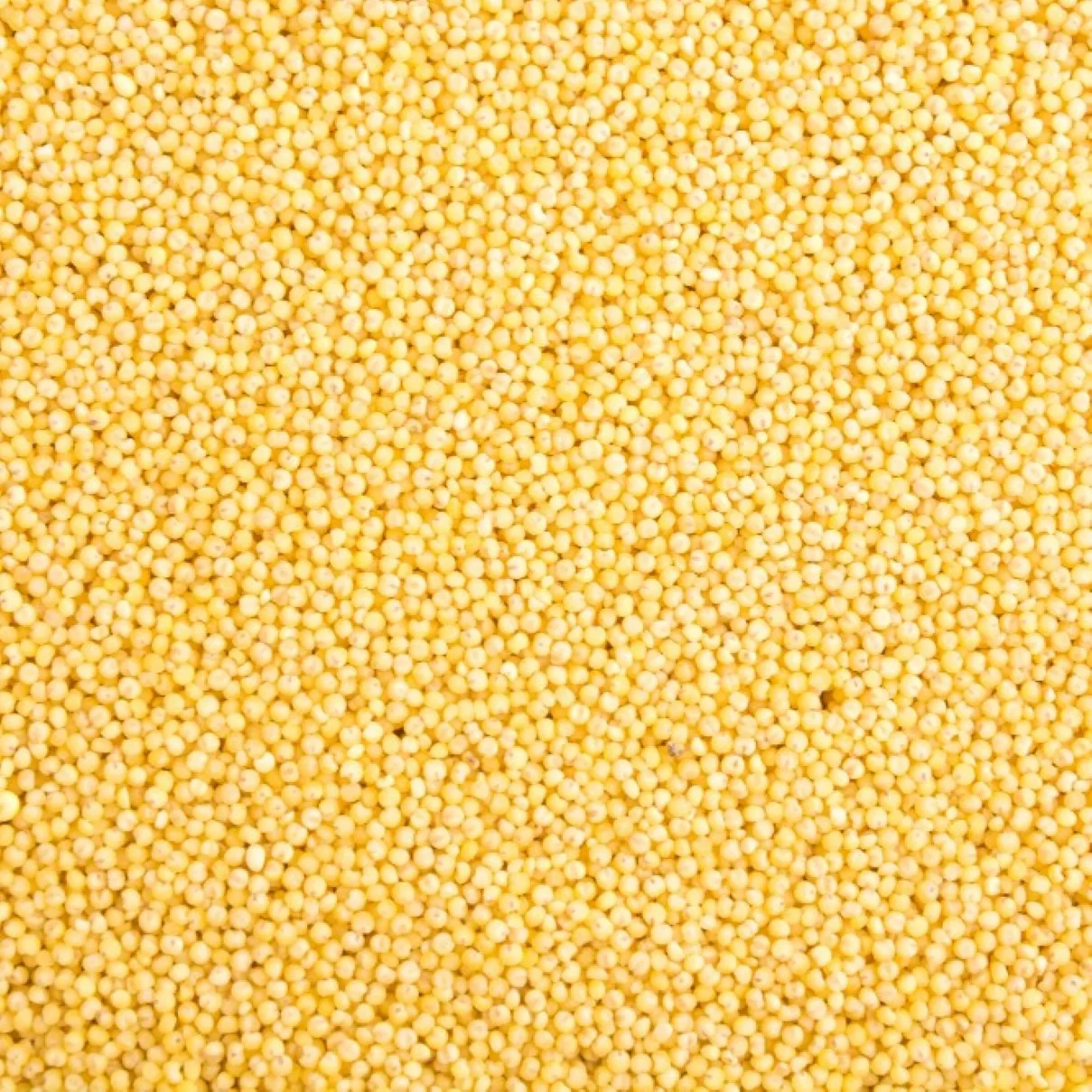 Couscous