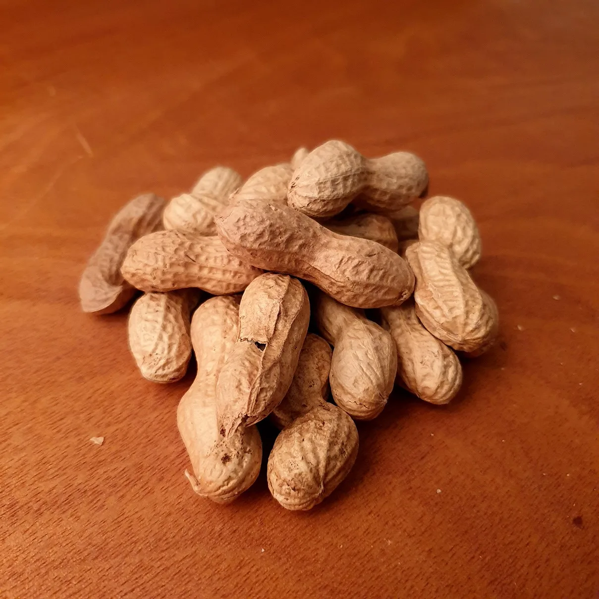 Arachides